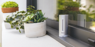 Smartes Wetter bei Elektro Pönicke GmbH in Zeulenroda-Triebes
